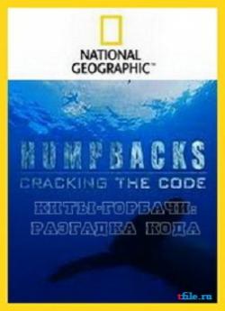  - .   / National Geographic: Humpbacks. Cracking the Code VO