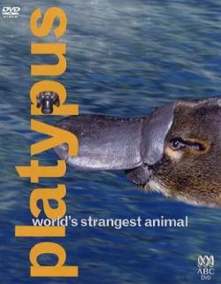ABC:     .  / ABC: Platypus. World's Strangest Animal DVO
