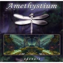Amethystium - Odonata