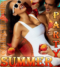 VA-Summer Party