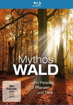   / Mythos Wald AVO