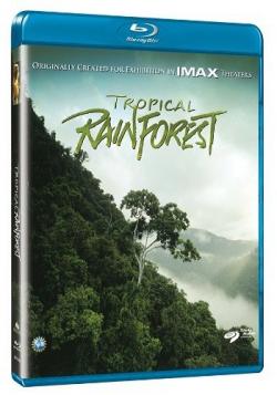   / Tropical Rainforest DVO