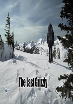  :   / Natural Wold: The Last Grizzly VO