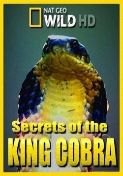    / Secrets of the King Cobra VO