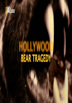  - / Hollywood Bear Tragedy VO