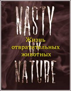    / Nasty by Nature VO