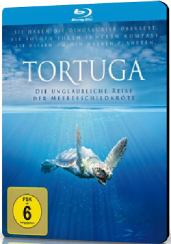    :  / Tortuga - The Incredible Trip of the Sea Turtle DUB