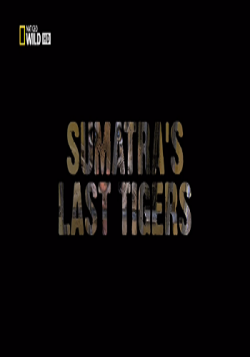    / Sumatra's Last Tigers VO