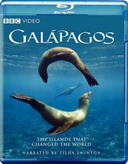 BBC:  / BBC: Galapagos (3   3) DVO