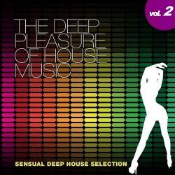 VA - The Deep Pleasure Of House Music Vol 2-3