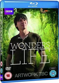 BBC:   [ 1-5  5] / Wonders of Life DVO