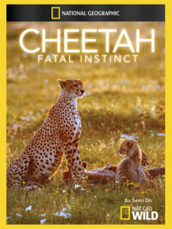 National Geographic - :   / National Geographic - Cheetah: Fatal Instinct VO
