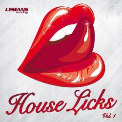 VA - House Licks Vol 1-3