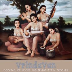VA - Vrindavan: Cocktail of Woods and Bright Gypsy Grooves
