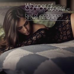 VA - Whisper of Consciousness Volume 45