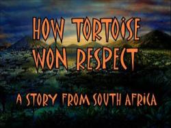 ,   / How Tortoise won respect DVO