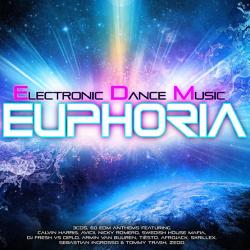 VA - Ministry of Sound: Edm Euphoria