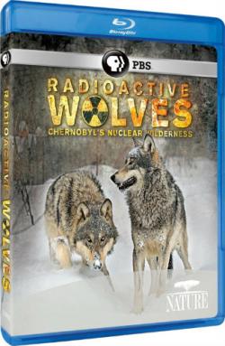 NATURE:   / NATURE: Radioactive Wolves VO