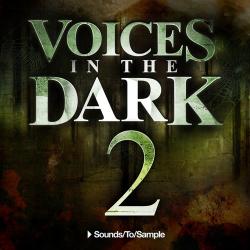 Sounds To Sample - Voices in the Dark 2