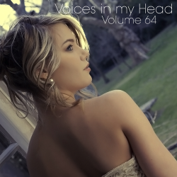 VA - Voices in my Head Volume 64