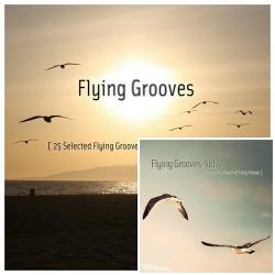 VA - Flying Grooves, Vol. 1-2