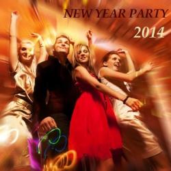 VA - New Year Party 2014