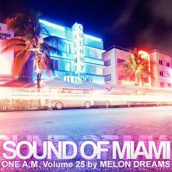 VA - Sound Of Miami: One A.M. Volume 25