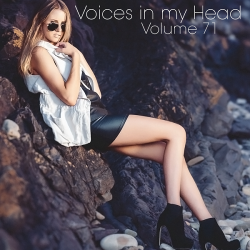 VA - Voices in my Head Volume 71