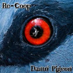 Damn Pigeon - Re-Coop