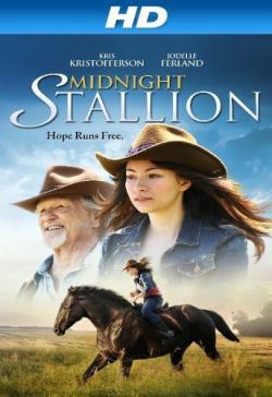   / Midnight Stallion VO