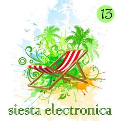 VA - Siesta Electronica Vol. 13