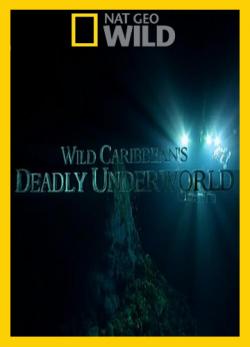   / Wild Caribbean's Deadly Underworld MVO