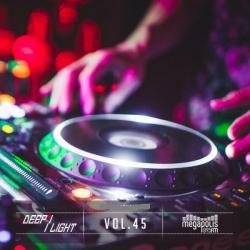 DJ Svet - Deep Light #45