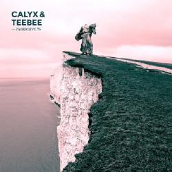 VA - Fabriclive 76: Calyx TeeBee