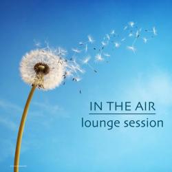 VA - In the Air Lounge Session