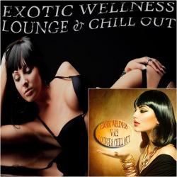 VA - Exotic Wellness Lounge and Chill Out Vol 1-2