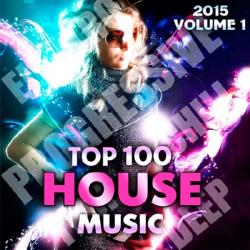 VA - Top 100 House Music Vol.1