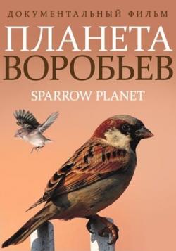   / Sparrow Planet