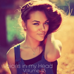 VA - Voices in my Head Volume 85