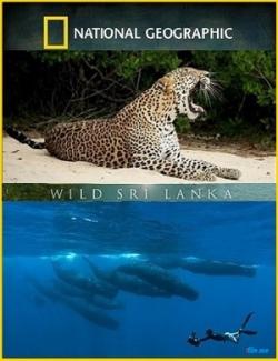  - ( 1-3  3) / Wild Sri Lanka DUB
