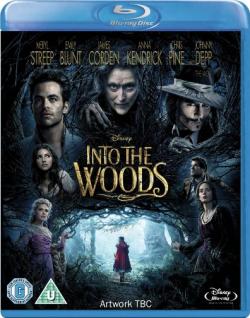    ... / Into the Woods DUB