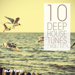 VA - 10 Deep House Tunes Vol 17