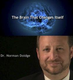   / The Brain That Changes Itself DVO