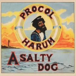 Procol Harum - A Salty Dog [Deluxe Edition]