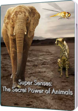 Уникальные способности животных [1-3 серии из 3] / BBC. Super Senses: The Secret Power of Animals VO