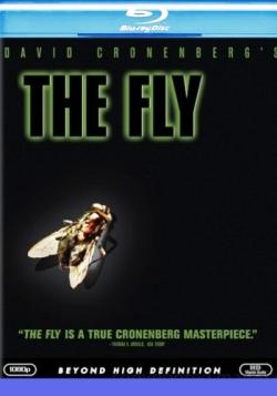  / The Fly MVO