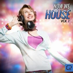 VA - Now We House, Vol. 1