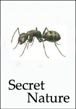  .   / Secret Nature. Planet of the Ants VO