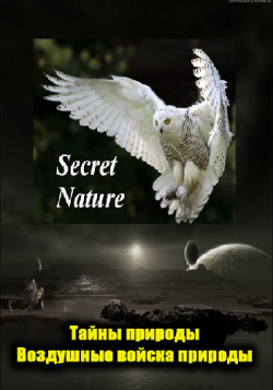  .    / Secret Nature. Natures Airforce VO
