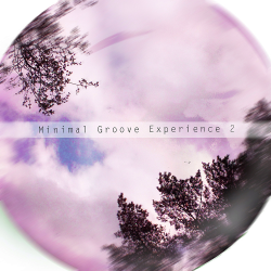VA - Minimal Groove Experience 2